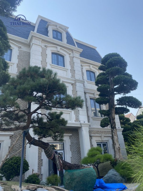 Thi Công Xây Dựng Trọn Gói THÁI SƠN®