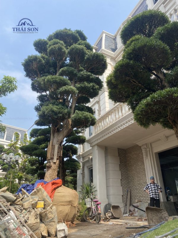 Thi Công Xây Dựng Trọn Gói THÁI SƠN®