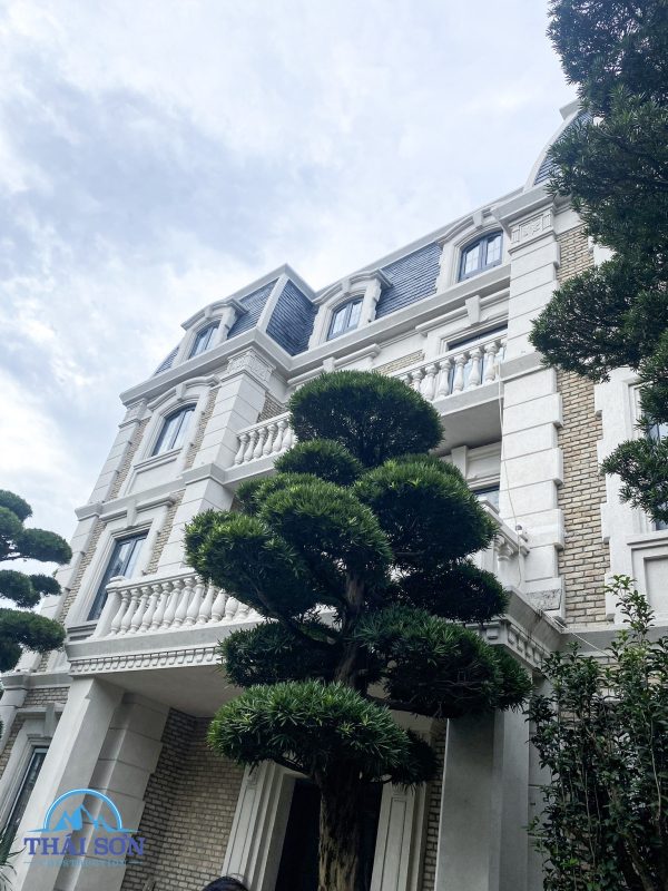 Thi Công Xây Dựng Trọn Gói THÁI SƠN®