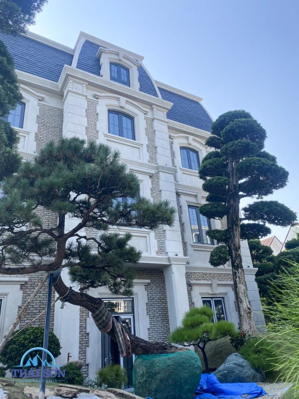 Thi Công Xây Dựng Trọn Gói THÁI SƠN®