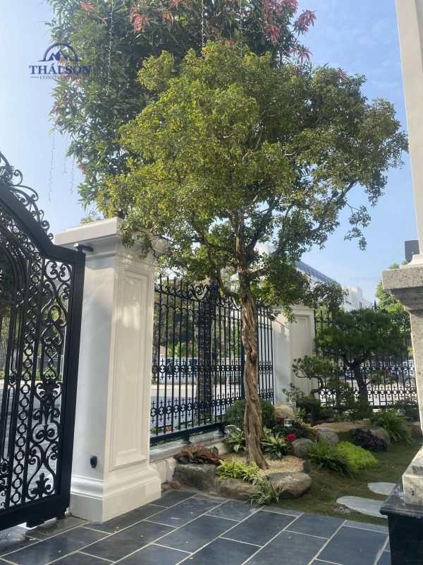 Thi Công Xây Dựng Trọn Gói THÁI SƠN®