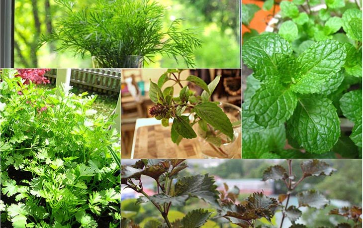Thi Công Xây Dựng Trọn Gói THÁI SƠN®
