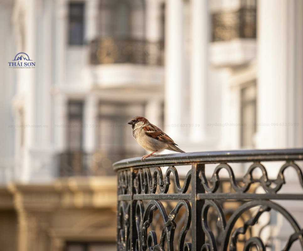 Thi Công Xây Dựng Trọn Gói THÁI SƠN®